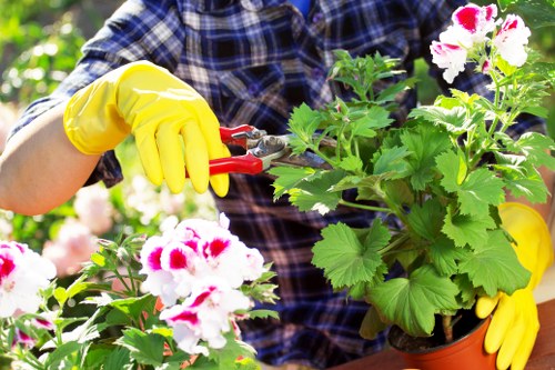Landscaping team preparing a garden project