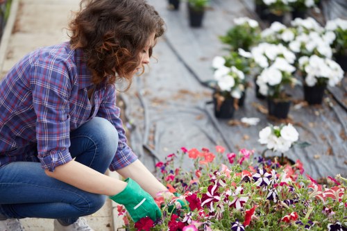 Commercial outdoor space improved with durable landscaping in Newham