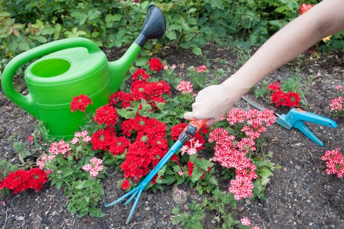 Soft landscaping garden planting in Newham with turf and borders