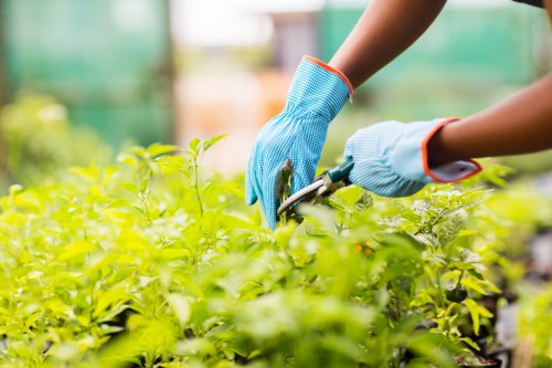 Green waste sorting and recycling at a Newham landscaping site