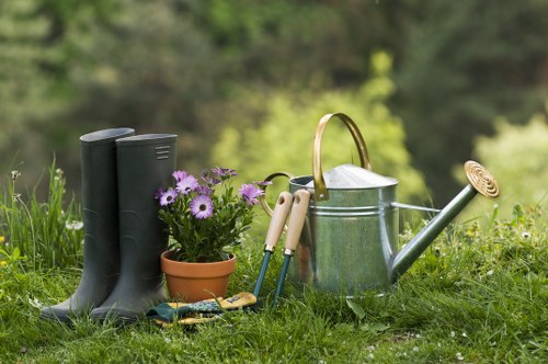 Accessibility-focused landscaping content for Newham residents