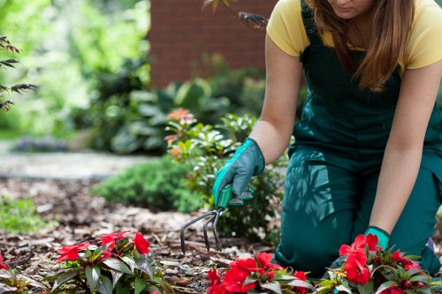 Local landscaping price estimate for a Newham garden project