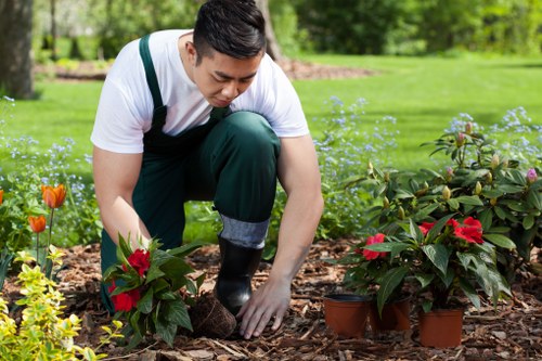 Inclusive landscaping Newham content with accessibility commitment