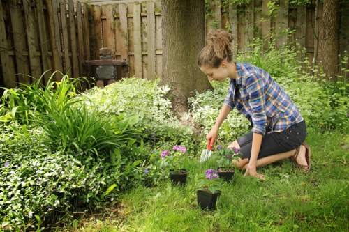 Free quote paperwork for a Newham landscaping service