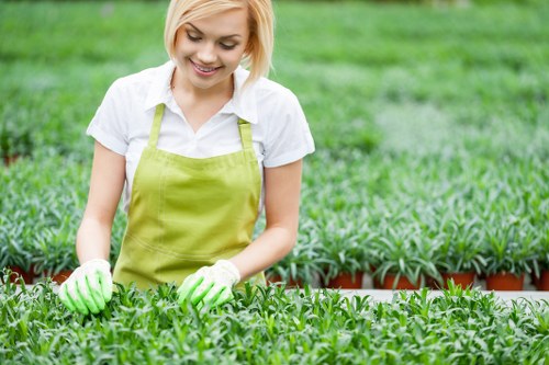 Safe and professional landscaping operations in Newham