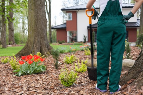 Supplier compliance review for landscaping supply chain checks